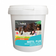 METIL PUR (1 KG)